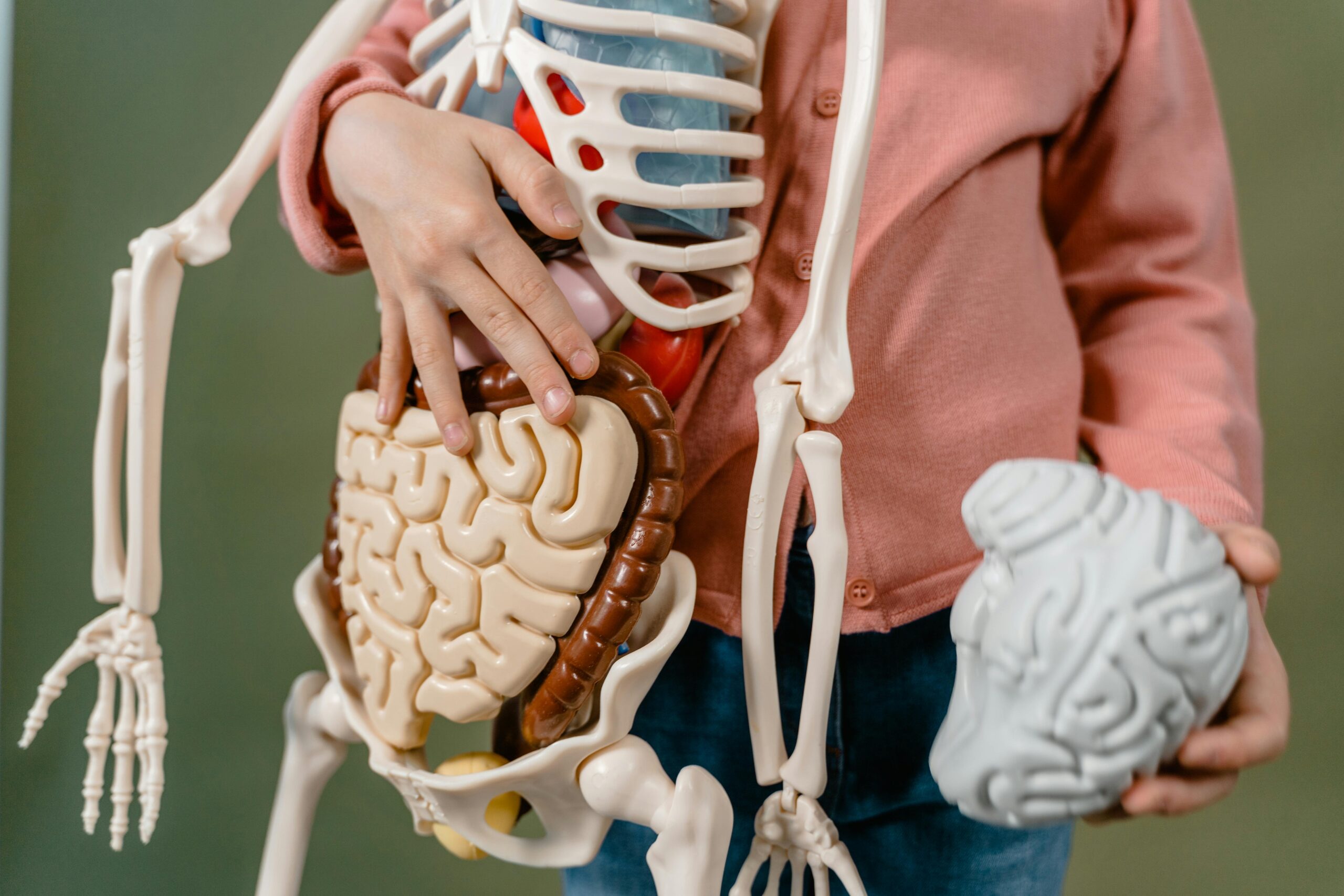 How to Improve Digestion Naturally and Prevent Bloating